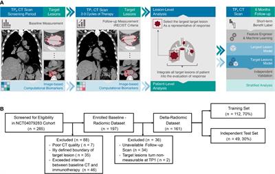 Imaging Biomarkers to Predict and Evaluate the Effectiveness of Immunotherapy in Advanced Non-Small-Cell Lung Cancer